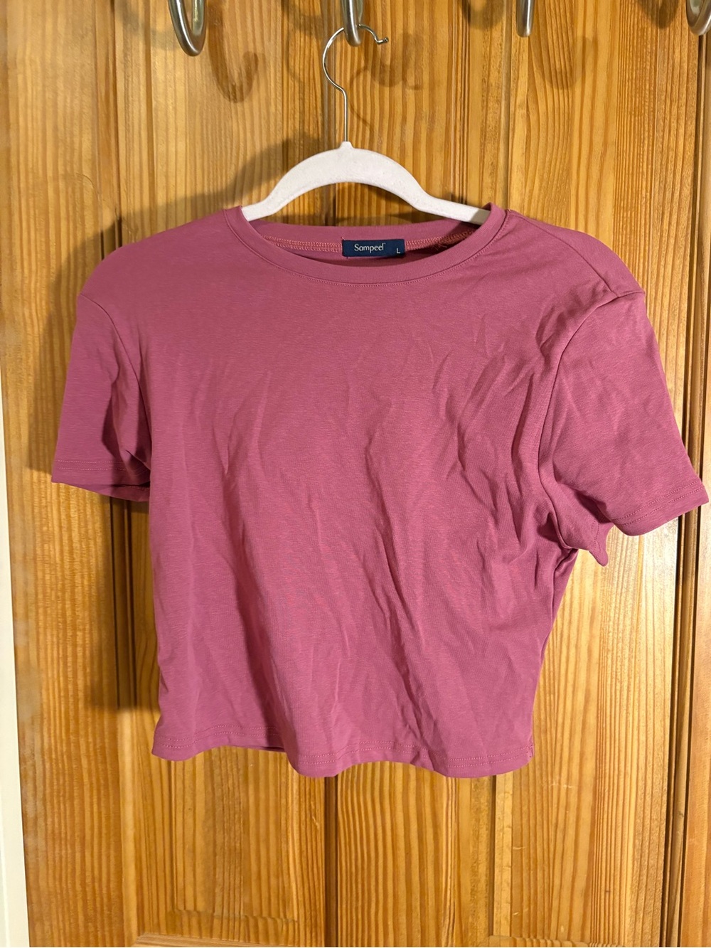 Sompet Short-Sleeve Crew Tee in Mauve Pink